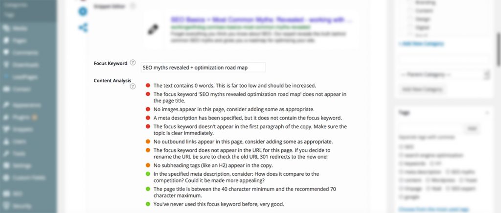 screen shot of Yoast errors in WordPress