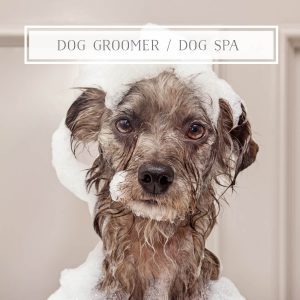 Dog groomer
