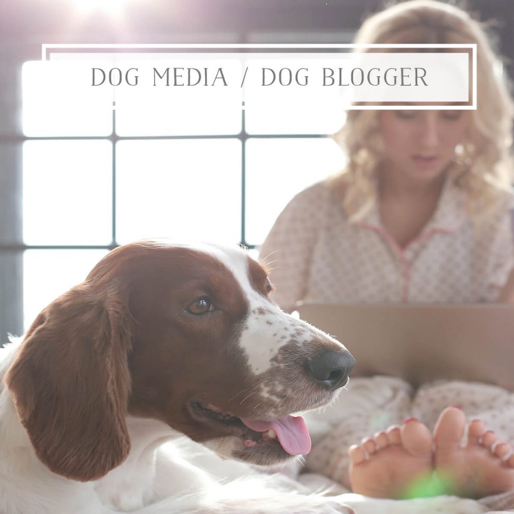 Dog Media Dog Blogger