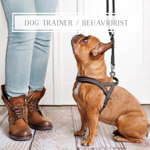 Dog trainer