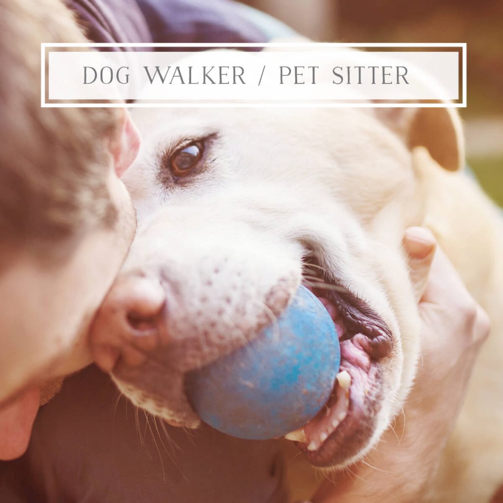 Dog walker Pet Sitter