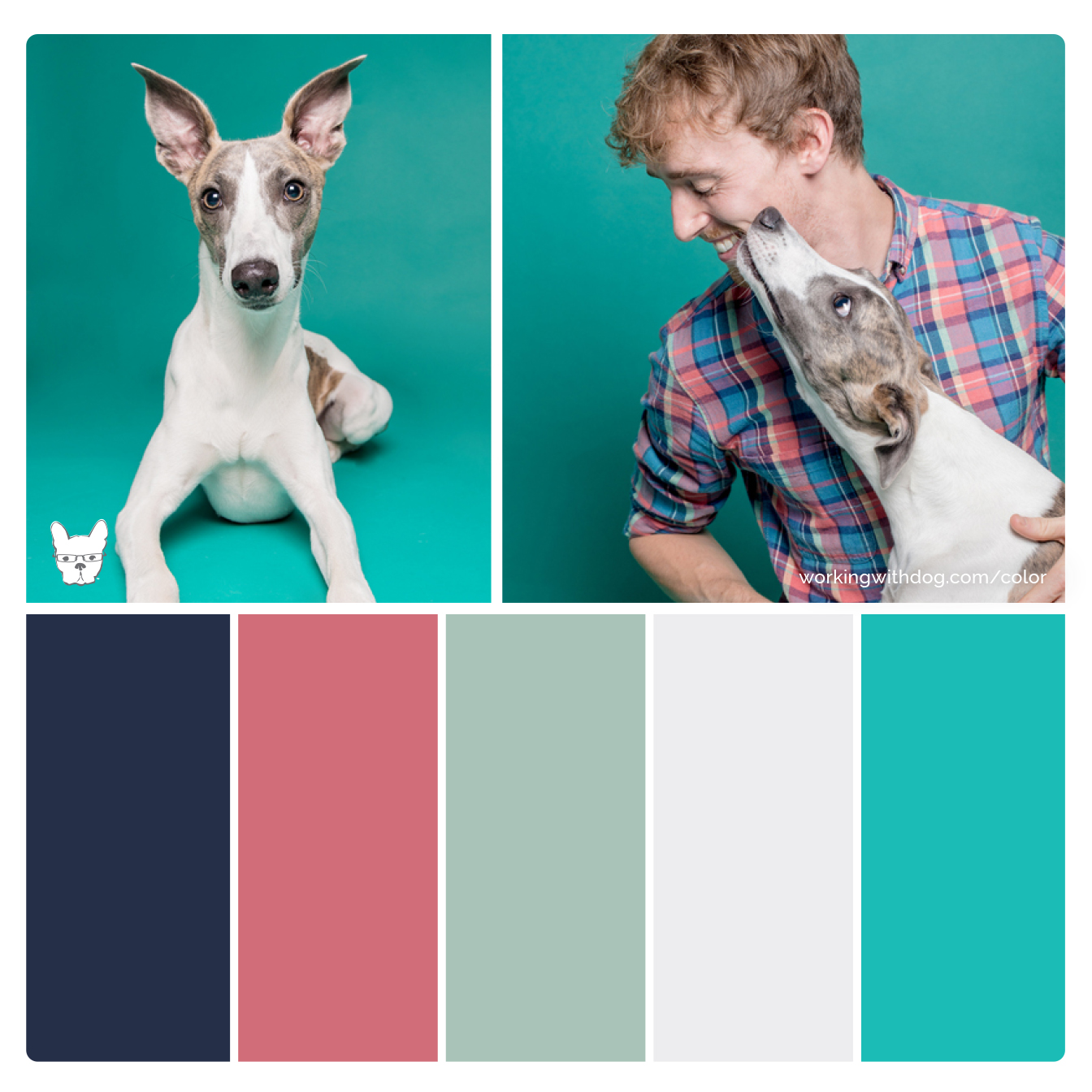 Color Palettes For Pet Brands,Pictures Of Princess Margaret And Mick Jagger