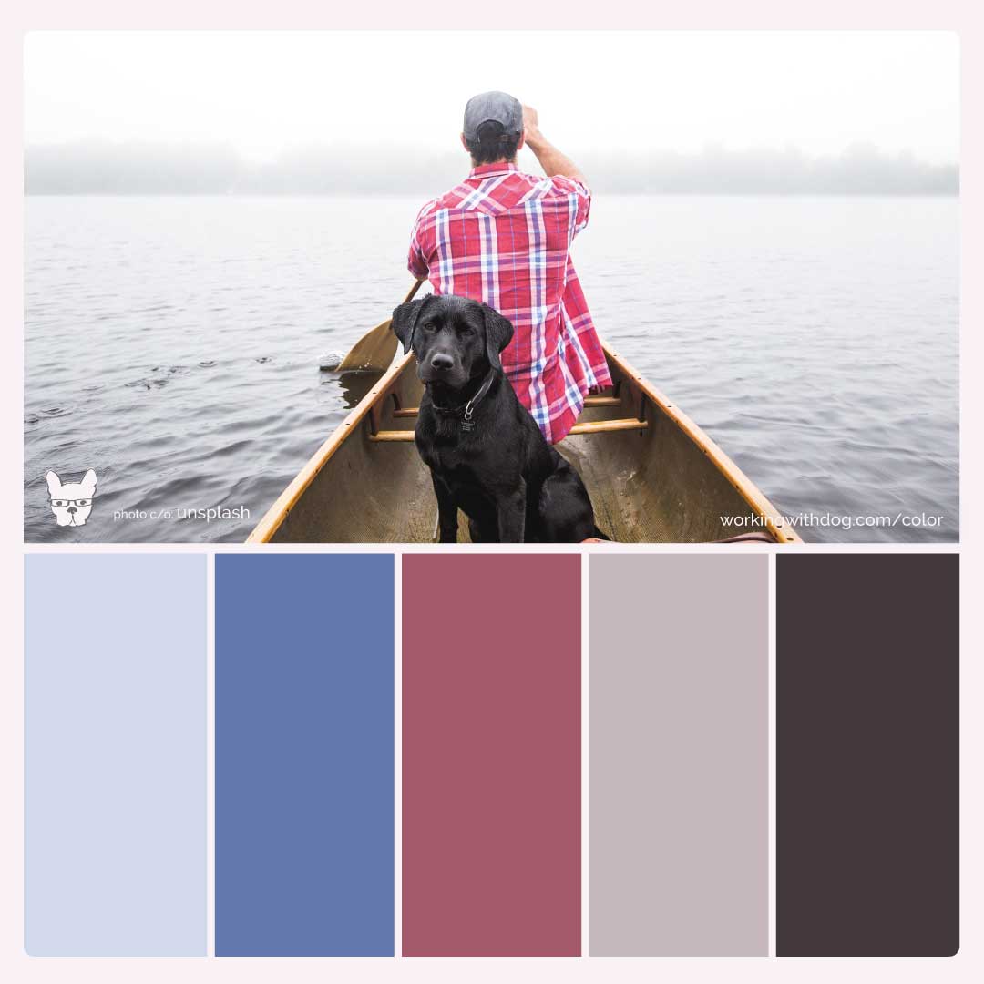 Our color palette is unique 🎨 - Fable Pets