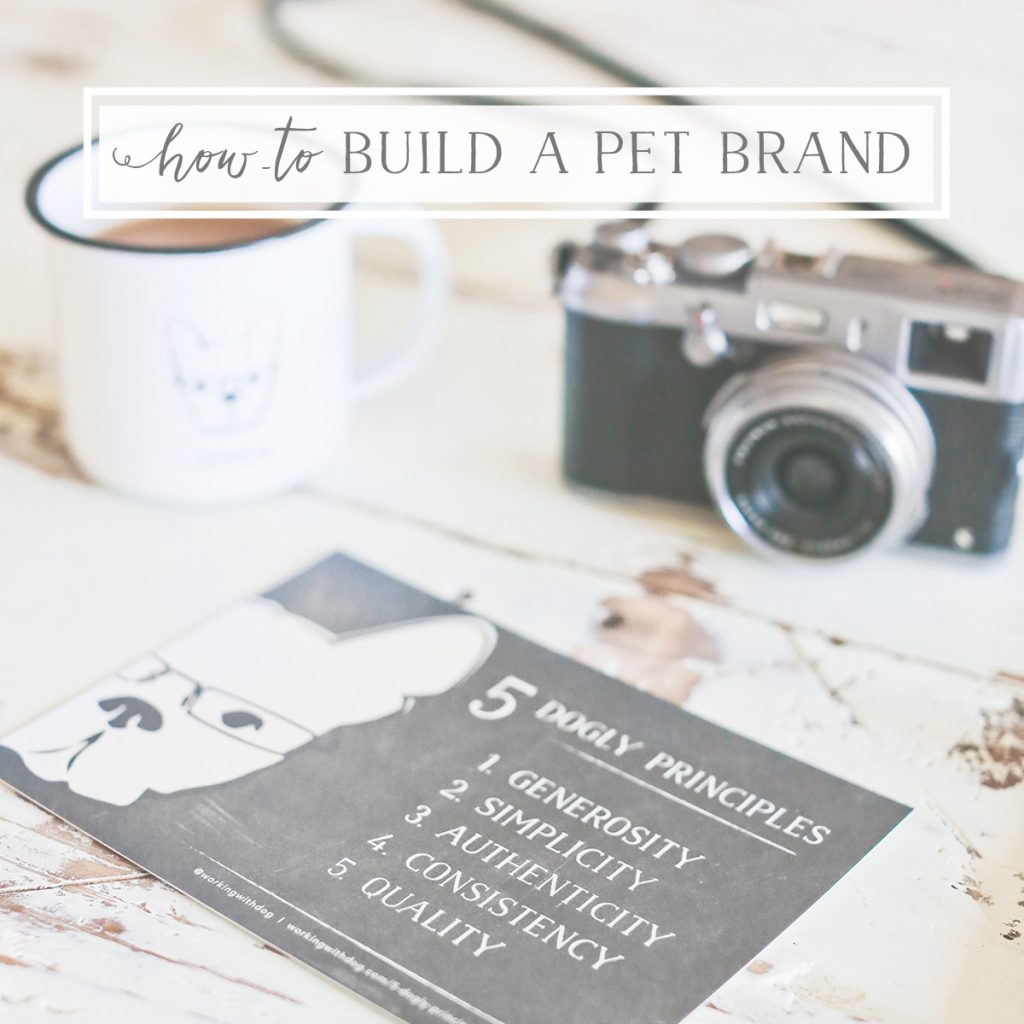 how-to_build_a_pet_brand