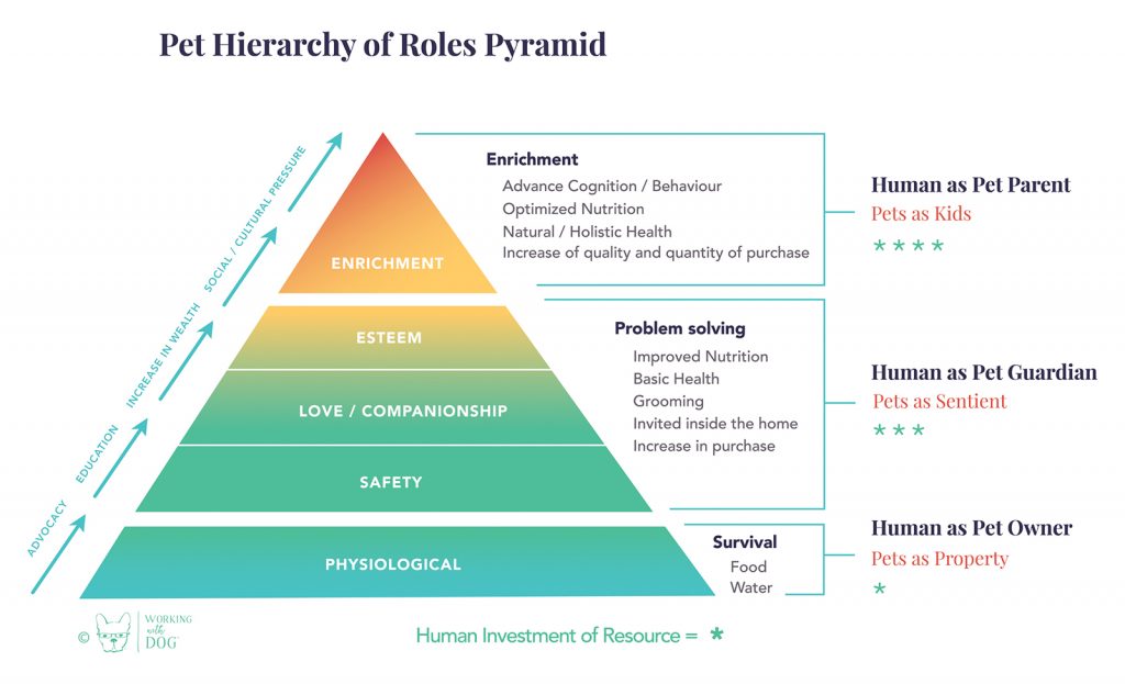 Pet Hierarchy of Roles Pyramid