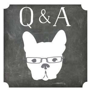Live Q+A with Nic + the working with dog team