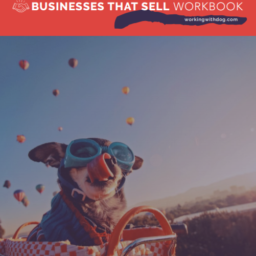 Businesses That Sell Workbook