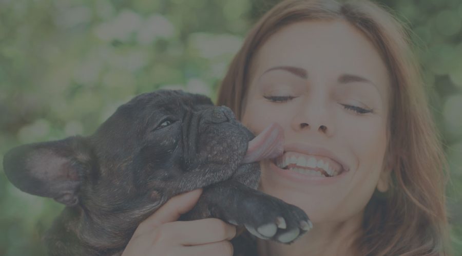 How to Use the Top 5 Social Networks to Get More Clients for Your Pet Business