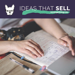 How to Turn Your Ideas into Stuff That Sells