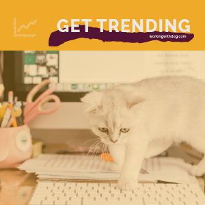 July 2021 Pet Trends & Upcoming Topics