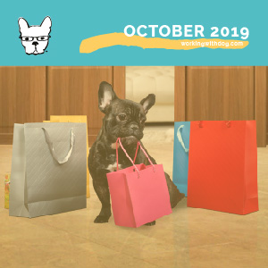 October 2019: Black Friday Promotions