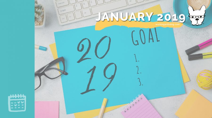 2019 Annual Planning: Email List Building Strategy