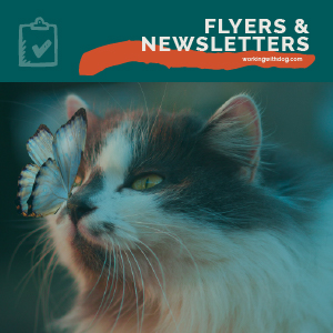 Winter Flyers & Newsletters