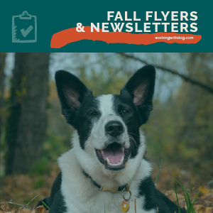 Fall Flyers & Newsletters