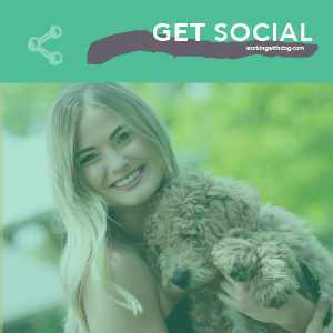 Steal This: August Social Media Templates