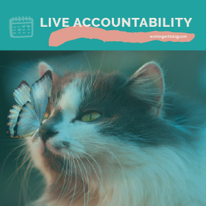 November 2021 Live Accountability Call
