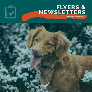 Winter Renewal Flyers & Newsletters