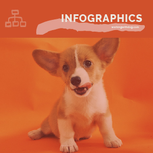 Puppy Parenting Challenges Infographics