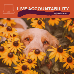 February 2022 Live Accountability Call