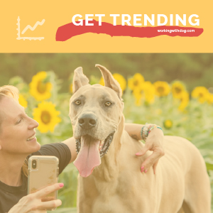 June 2020 Pet Trends & Upcoming Topics