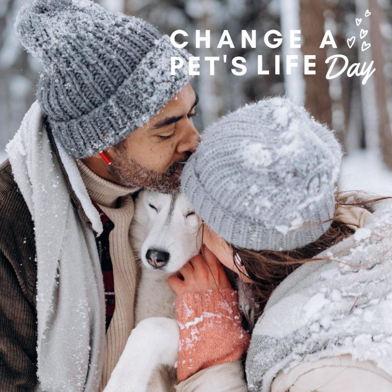change a pet's life day, social media template