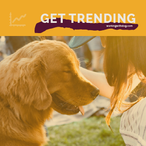 April 2021 Pet Trends & Upcoming Topics
