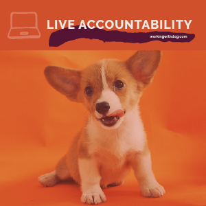 March 2022 Live Accountability Call