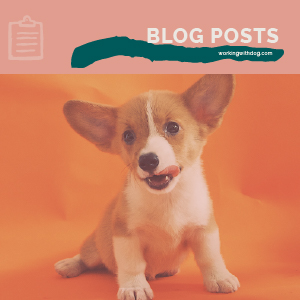 Puppy Parenting Challenges Blog Post Templates