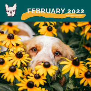 February 2022 Checklist