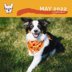 May 2022: Going Local